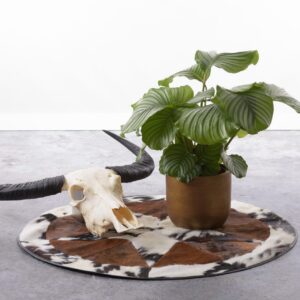 Patchwork Kuhfell natürlich Muster Nahaufnahme