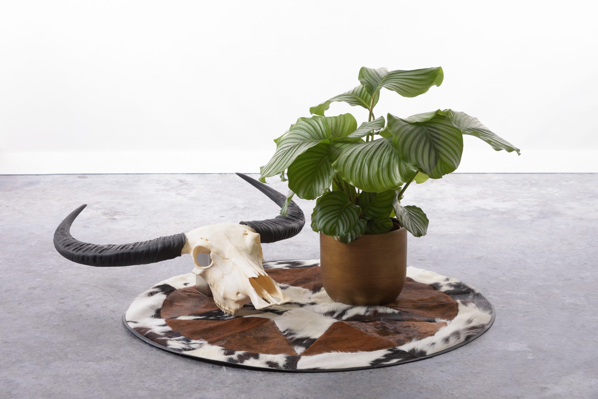 Patchwork Kuhfell natürlich Muster Nahaufnahme