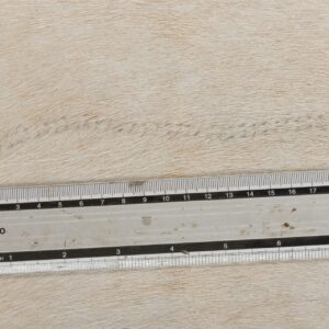 Kuhfell Teppich hellbraun () Detailansicht natürliche Zeichnung