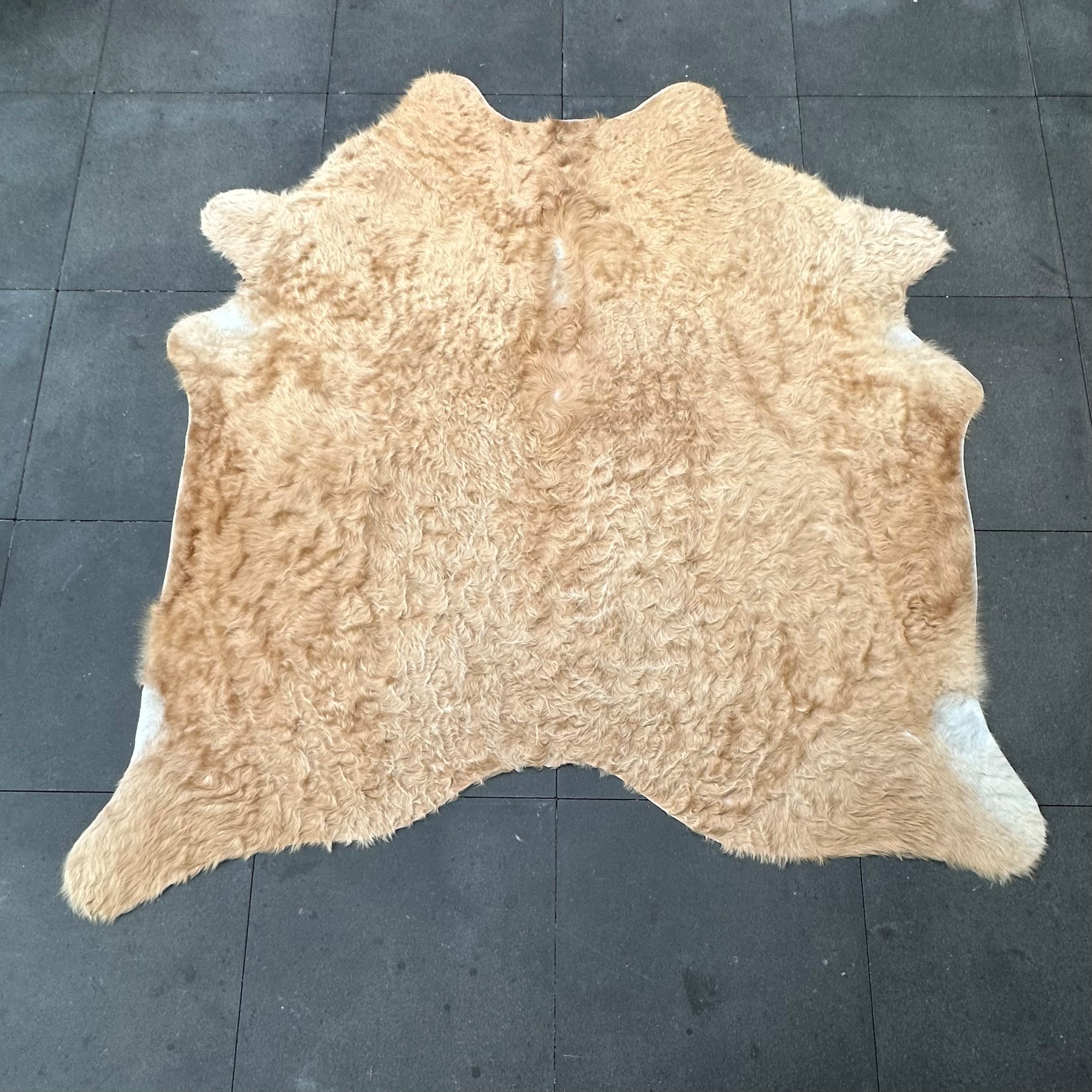 Echtes Kuhfell cognac 150x150 cm Extra klein - Natürliches Rinderfell Langhaar