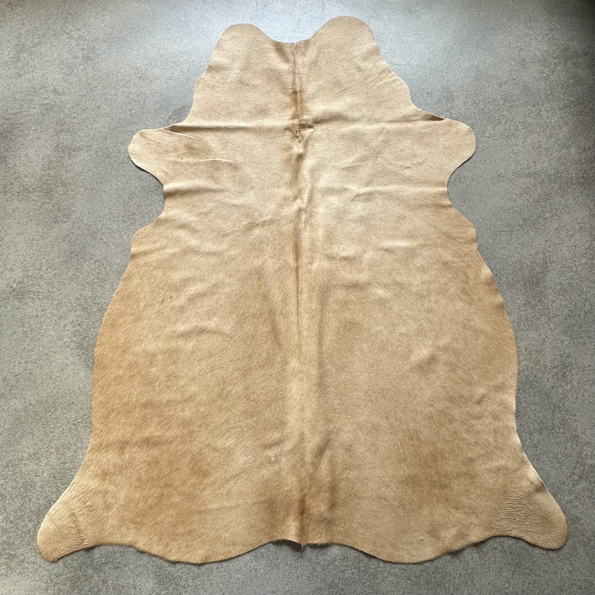 Kuhfell Teppich cognac Detailansicht natürliche Zeichnung